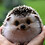 packetowl_89